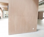 LECTURE HALL AND NURSING Image 12